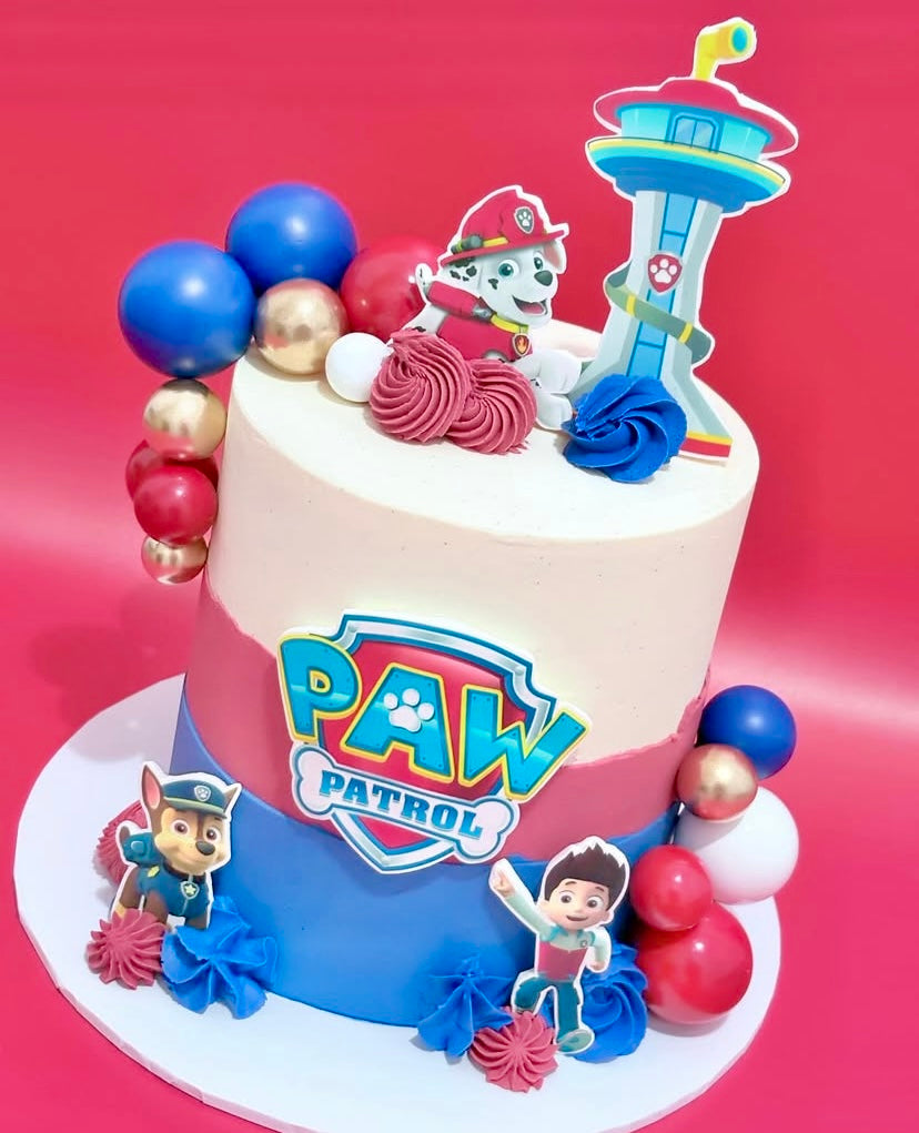 Paw patrol