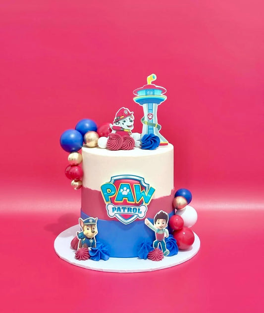 Paw patrol