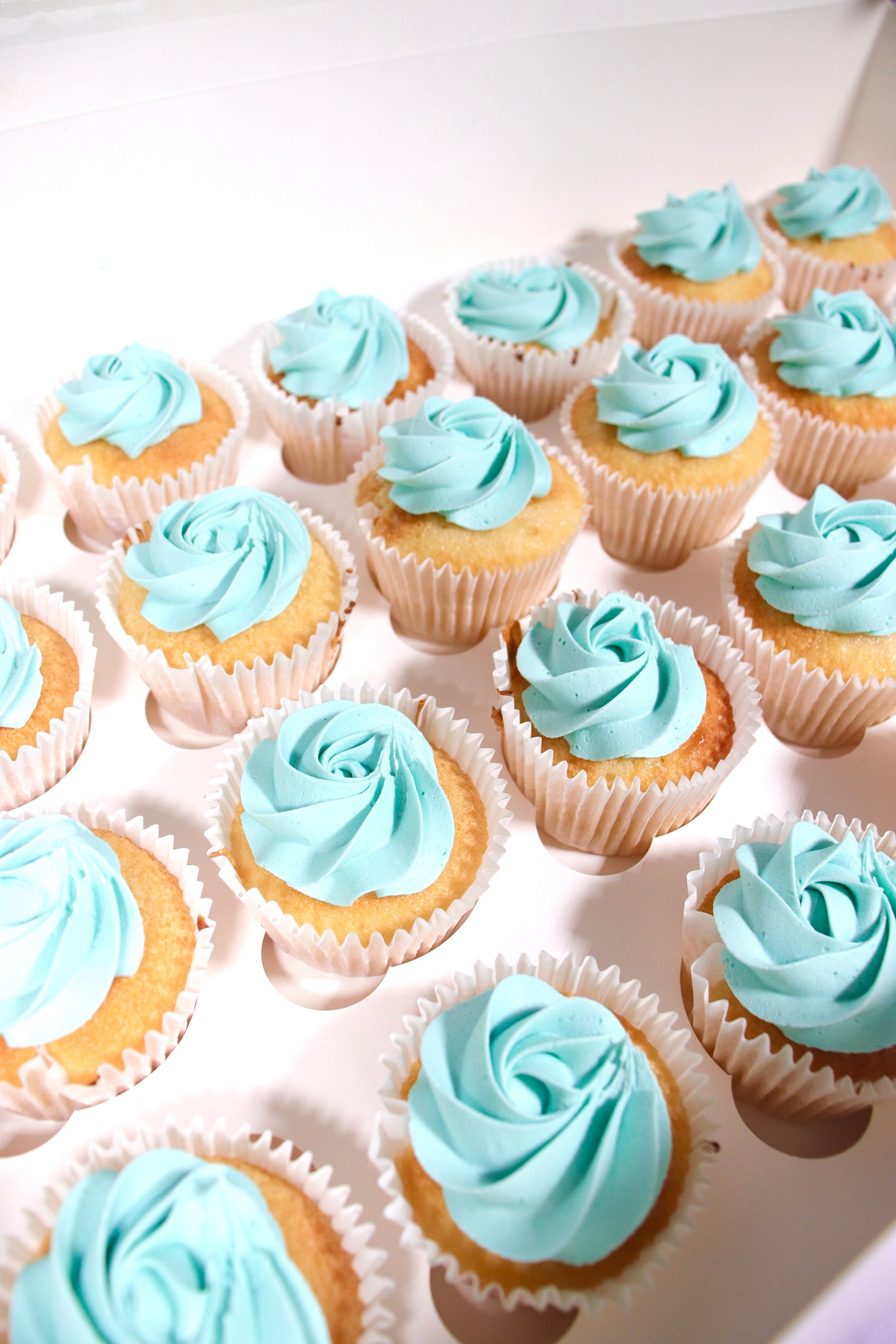 Plain Cupcakes